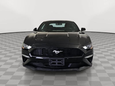 2019 Ford Mustang EcoBoost