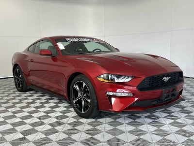 2022 Ford Mustang EcoBoost