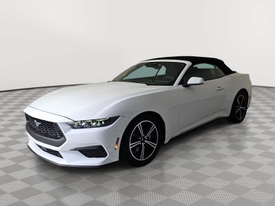 2025 Ford Mustang EcoBoost