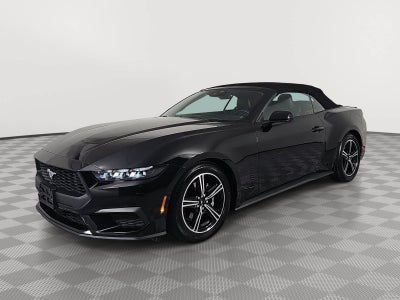 2025 Ford Mustang EcoBoost Premium