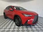 2023 Lexus NX 250 Base