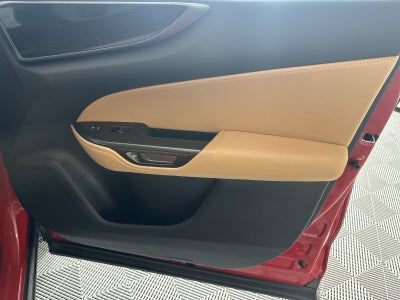 2023 Lexus NX 250 Base