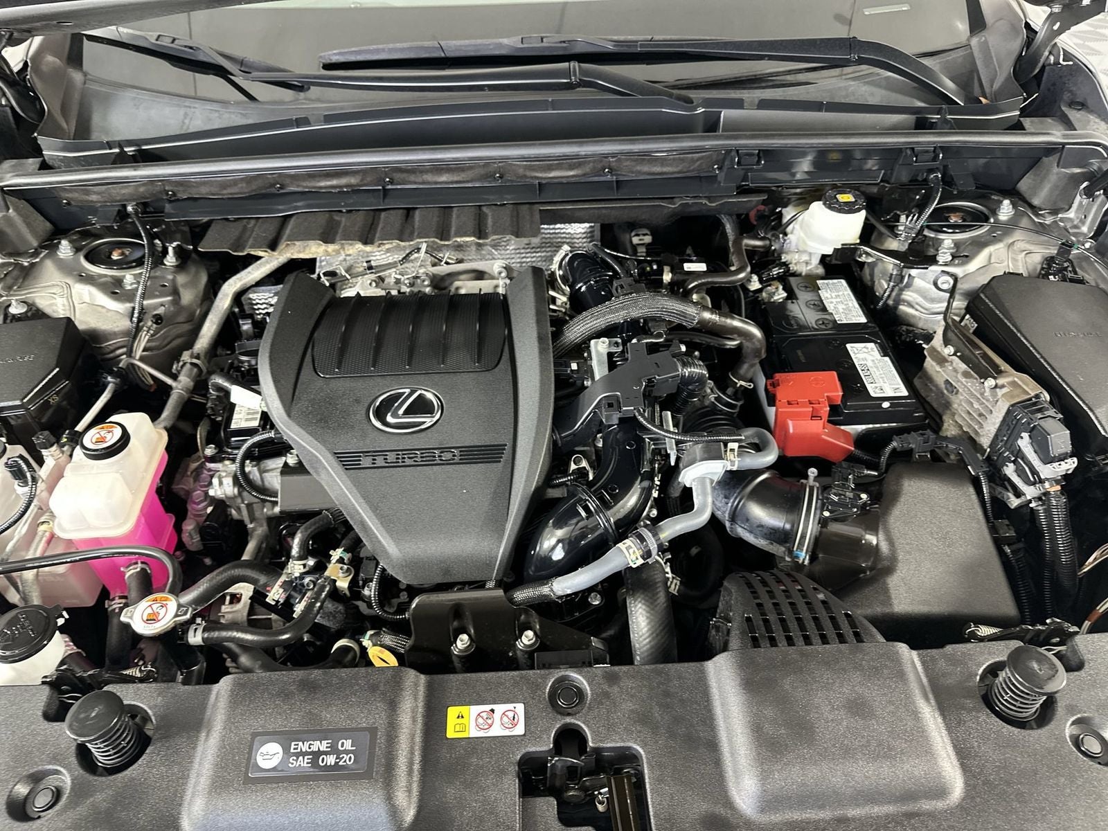 2023 Lexus NX 350 Premium