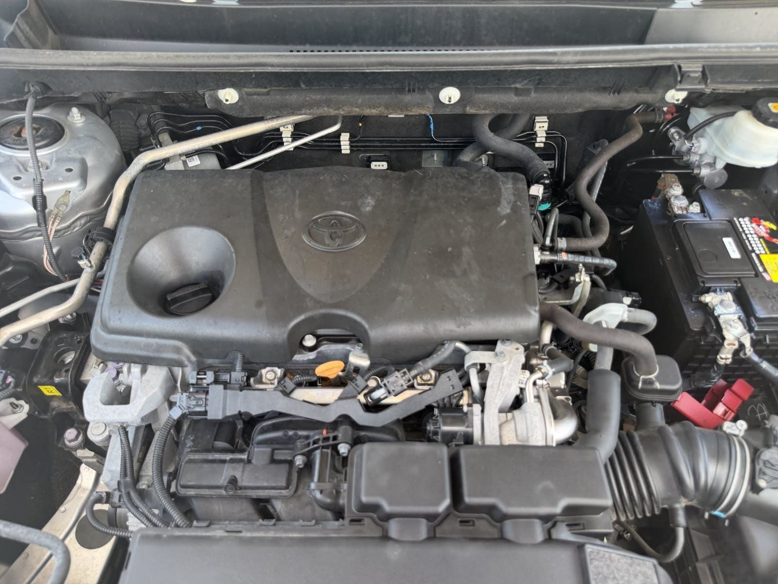 2019 Toyota RAV4 LE