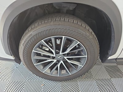 2025 Lexus NX 250 Base