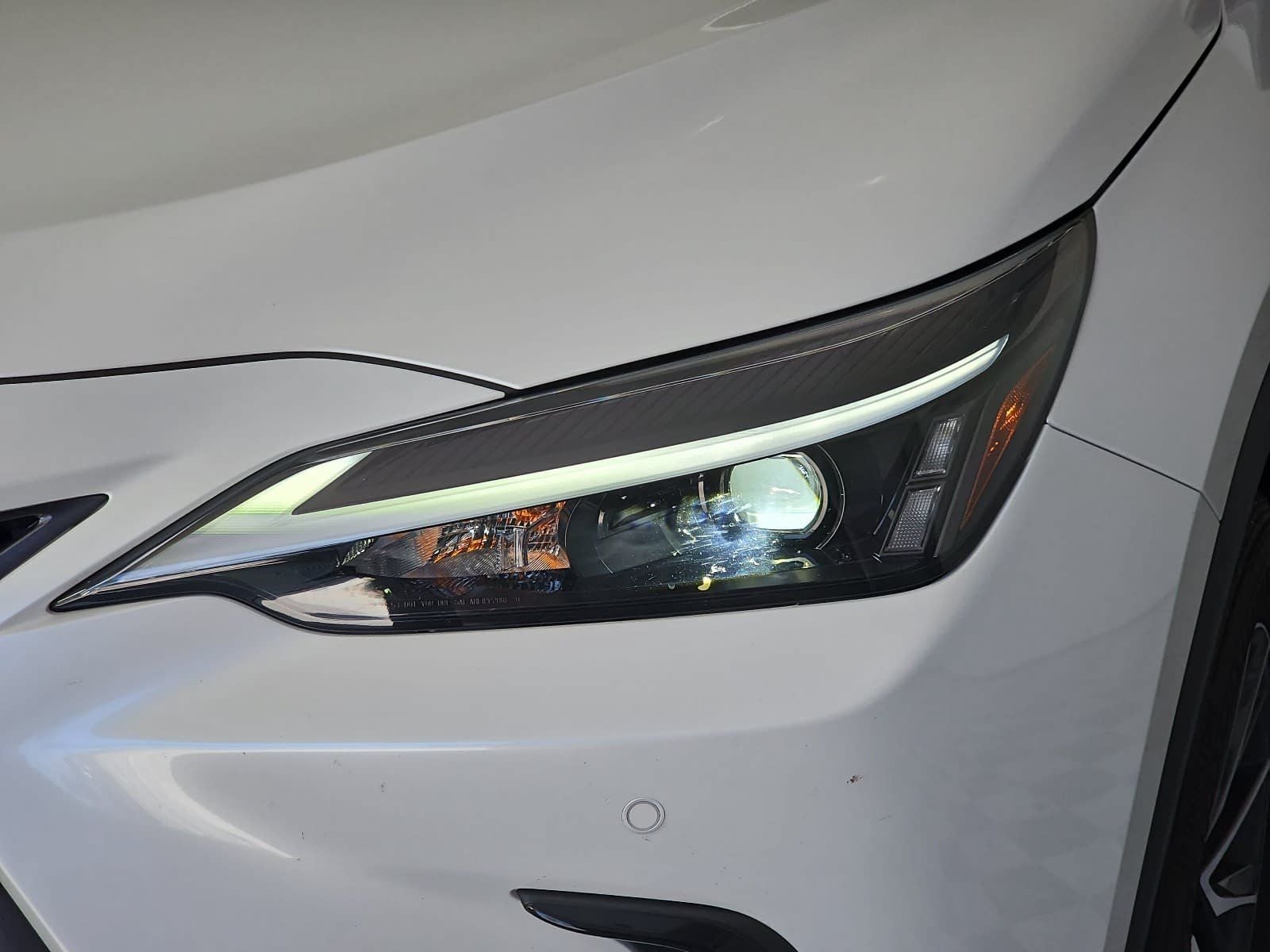 2025 Lexus NX 250 Base
