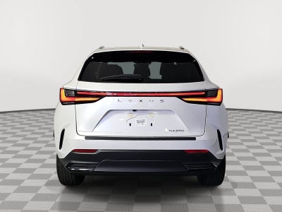 2025 Lexus NX 250 Base