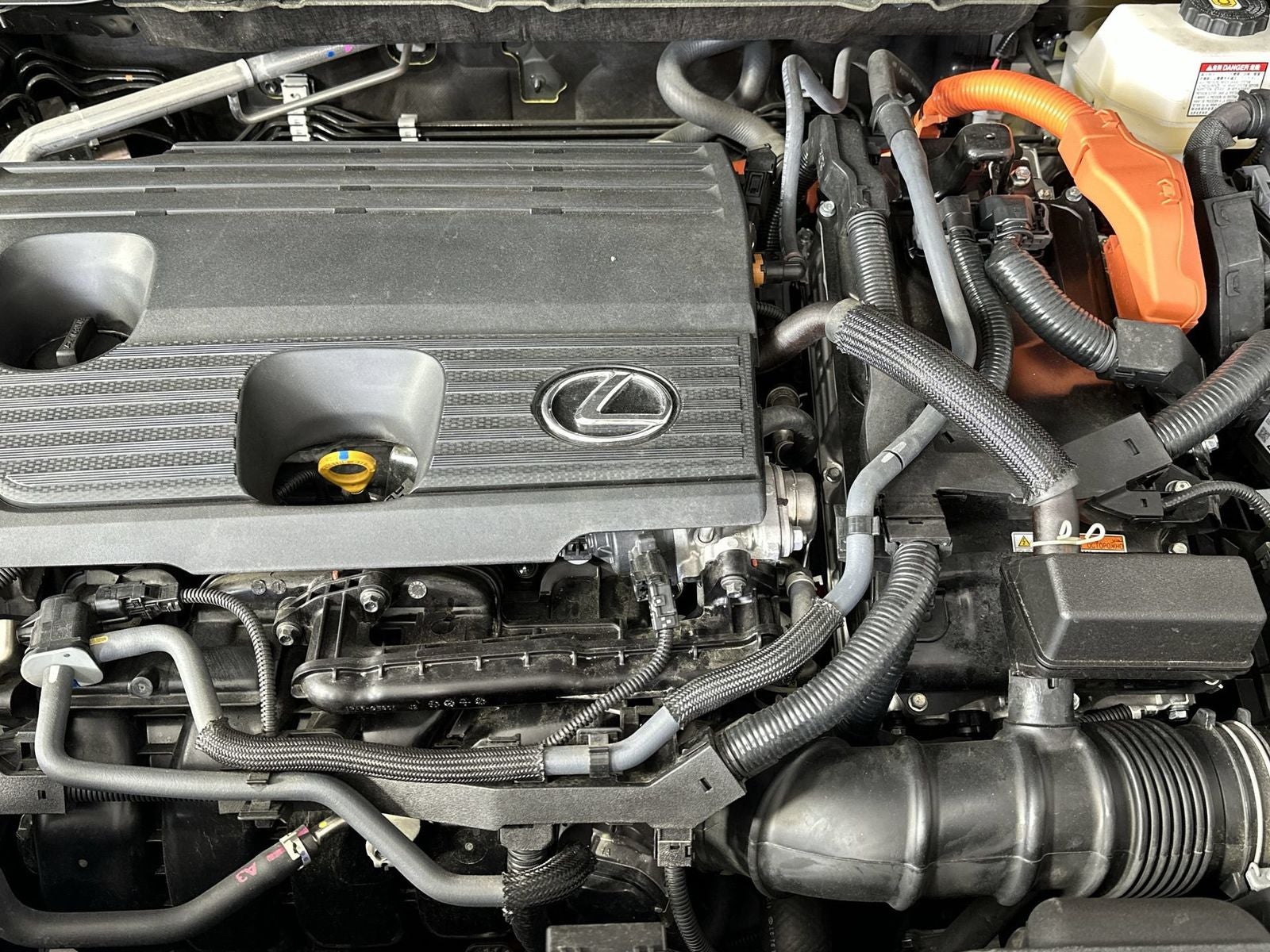 2025 Lexus NX 350h Premium