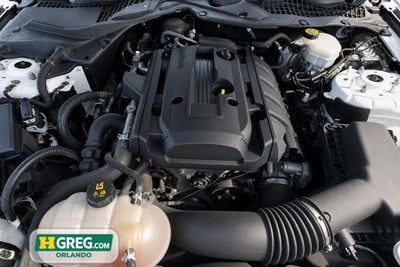 2019 Ford Mustang EcoBoost