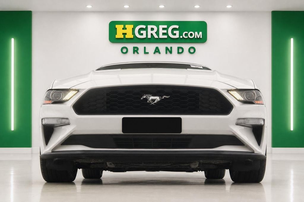 2019 Ford Mustang EcoBoost