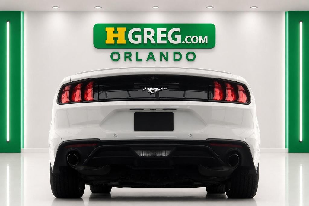 2019 Ford Mustang EcoBoost