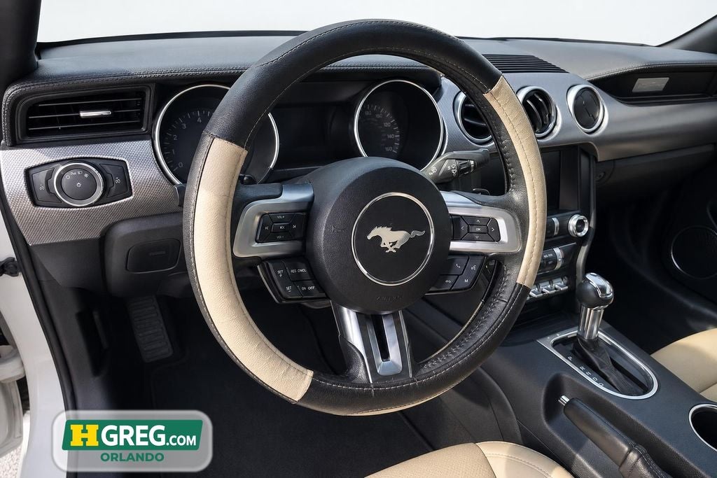 2019 Ford Mustang EcoBoost