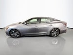 2023 Nissan Maxima Base