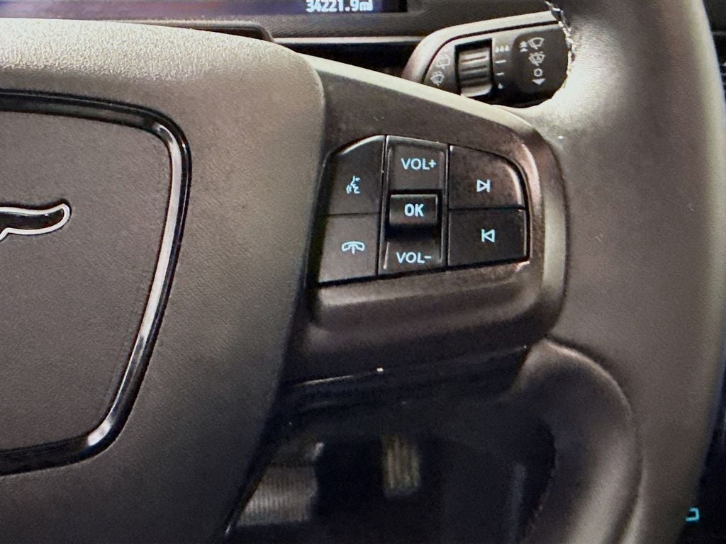 2023 Ford Mustang Mach-E California Route 1