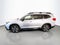 2025 Subaru Ascent Limited