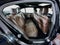 2023 BMW 5 Series 530i xDrive