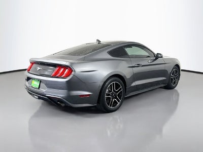 2022 Ford Mustang EcoBoost