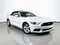2017 Ford Mustang V6