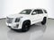 2019 Cadillac Escalade Platinum Edition