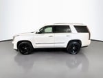 2019 Cadillac Escalade Platinum Edition