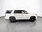 2019 Cadillac Escalade Platinum Edition