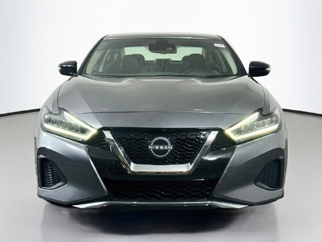 2023 Nissan Maxima SV