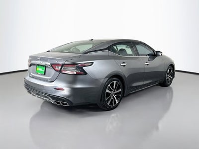 2023 Nissan Maxima SV