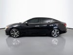 2023 Nissan Maxima 3.5 SL