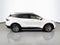 2025 Kia Sportage SX