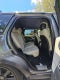 2019 Land Rover Range Rover Sport Supercharged