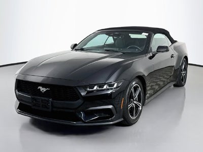 2024 Ford Mustang EcoBoost