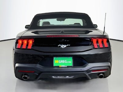 2024 Ford Mustang EcoBoost