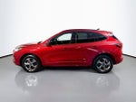 2024 Ford Escape Hybrid ST-Line Select