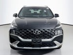 2021 Hyundai Santa Fe Calligraphy