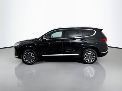 2021 Hyundai Santa Fe Calligraphy