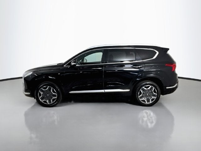 2021 Hyundai Santa Fe Calligraphy