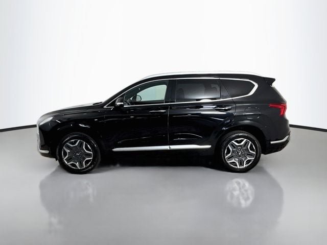 2021 Hyundai Santa Fe Calligraphy