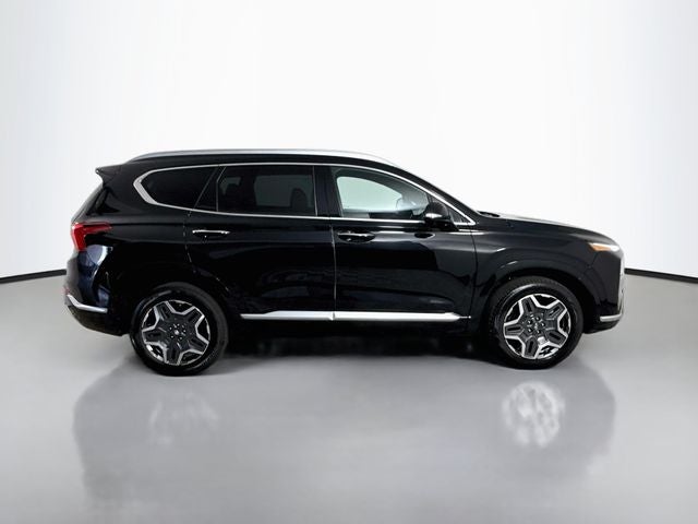 2021 Hyundai Santa Fe Calligraphy